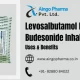 Levosalbutamol Hydrochloride and Budesonide Inhalation Suspension