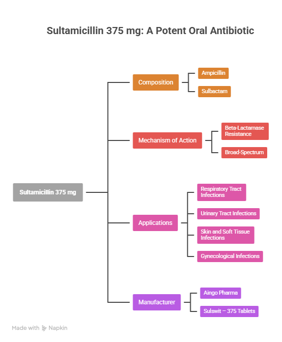 sultamicillin Visual Explanation