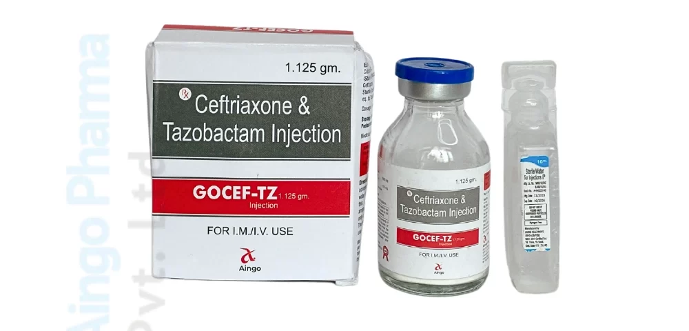 GOCEF-TZ