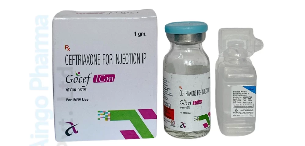 GOCEF 1 GM
