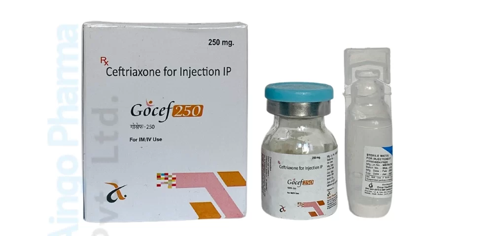GOCEF 250
