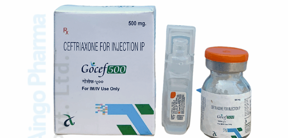 GOCEF 500