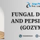 Fungal Diastase and Pepsin Syrup