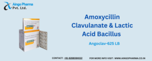 Amoxycillin Clavulanate & Lactic Acid Bacillus