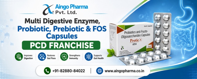 Multi Digestive Enzyme, Probiotic, Prebiotic & FOS Capsules PCD Franchise